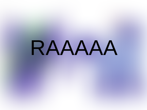 RAAA
