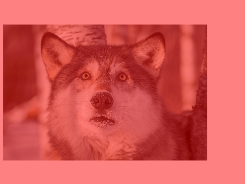 AAAAAAAAAAAA