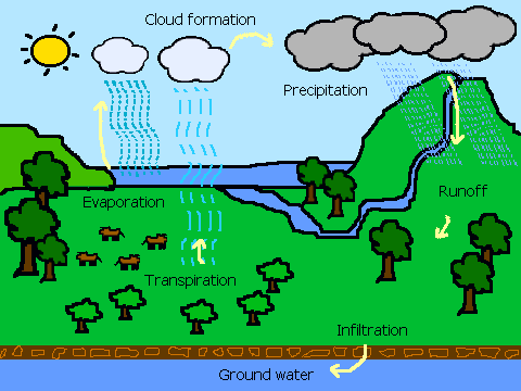 Water Cycle