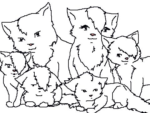 COLORING CONTEST- Cat family