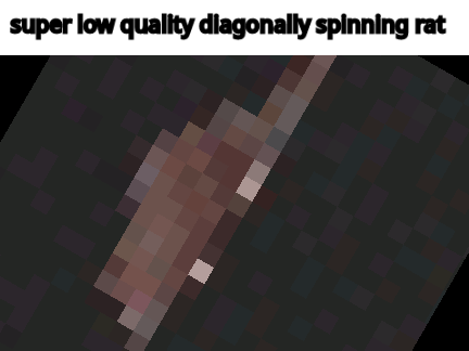 super low quality diagonally spinning rat 