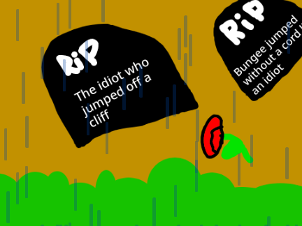 A cliff and 2 idiots