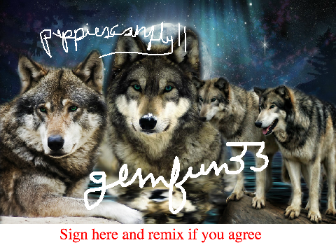 Wolves remix