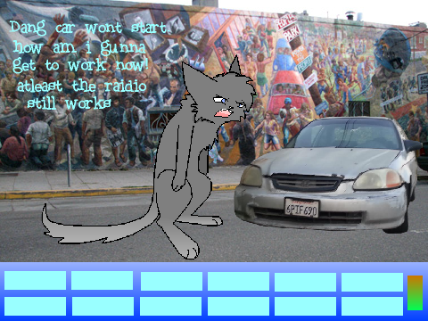 Cat CC - ENTRY 