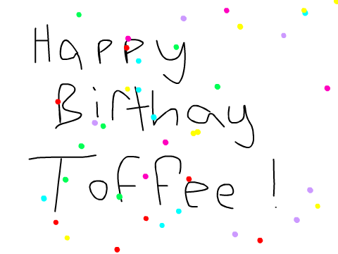 Happy Birthday Toffee <3