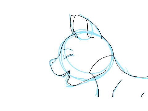 forever wip