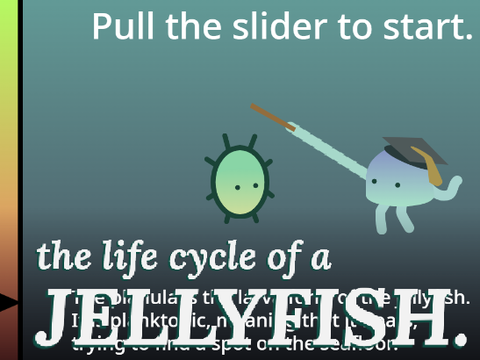 Jellyfish (WORK IN PROGRESS)