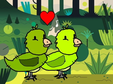 kakapo love