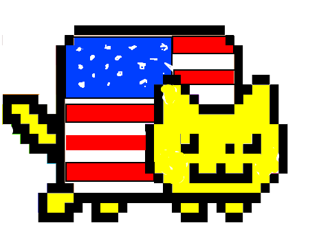 America Cat