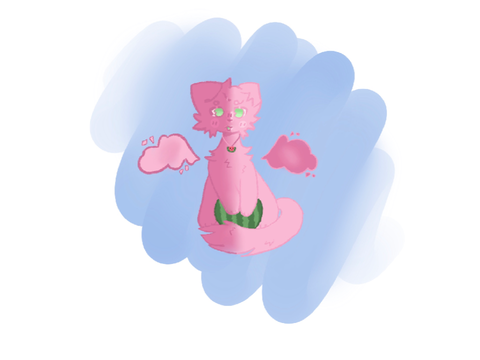 ✭ watermelon cat ✭