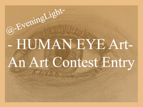 - traditional eye art .. contest entry -