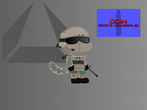 USC Defense Force
