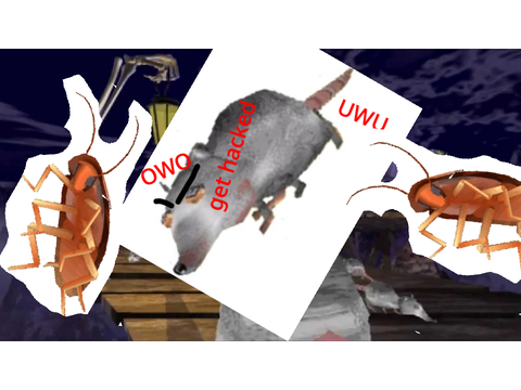 IDK WHAT IM DOING