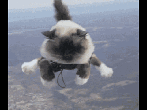 Skydiving in a Nutshell  remix