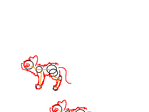 testing jumping cat