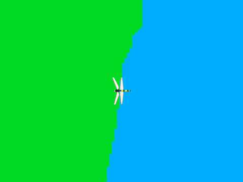 Open map game