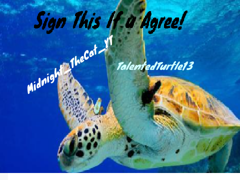 Stop Hunting the turtles remix and sign if u agree! remix