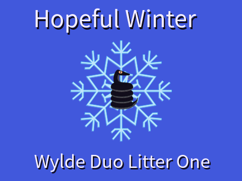 [ Hopeful Winter - Wylde Duo Kids ]