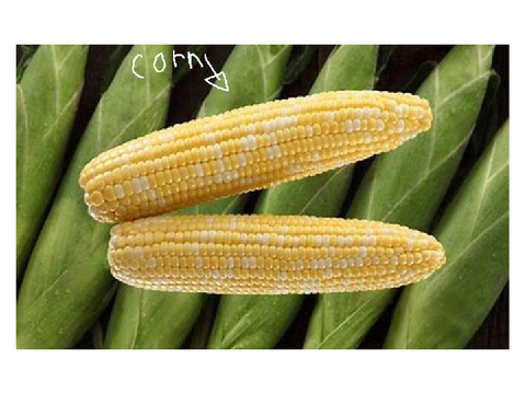 Corn 