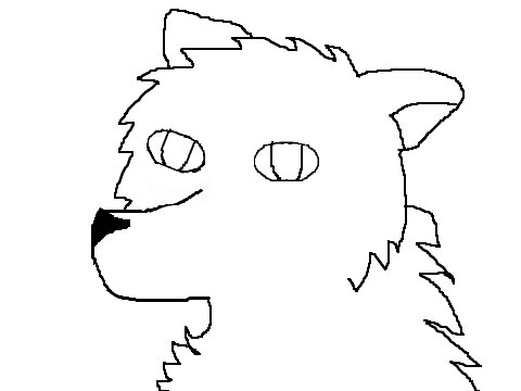 Animals cc 