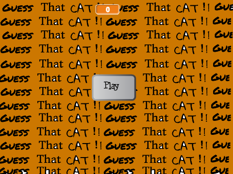 Guess that Warrior Cat