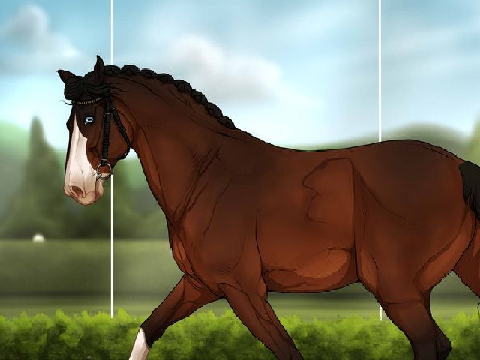 Octavian- Calico Stables