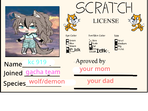 My Scratch License!  remix