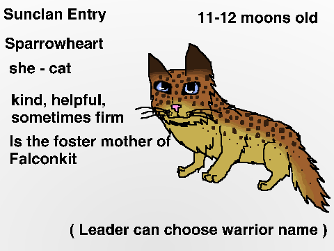 Sunclan Entry - Sparrowheart remix