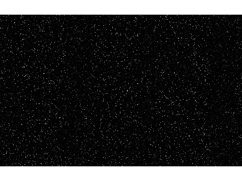stars