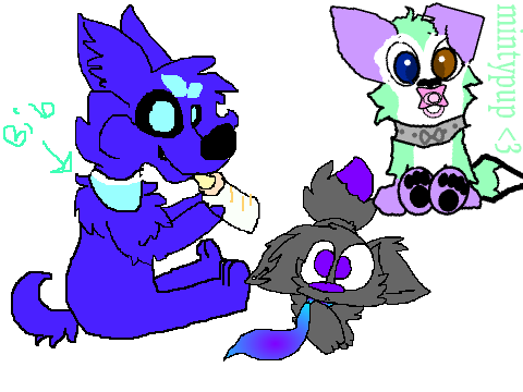 MintyPUP |MintyPup|