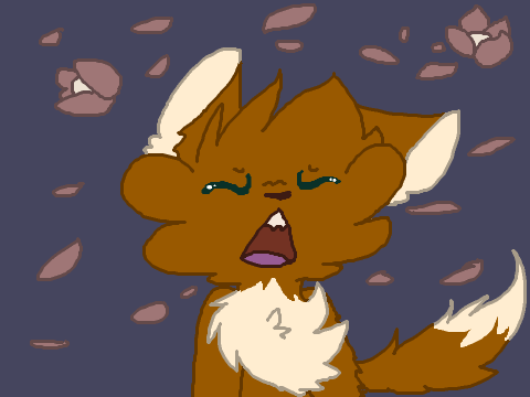 Hurricane CC ~~ Entry!