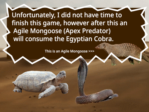 .-`Desert Food Web`-.