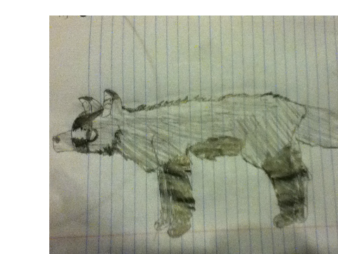 anime wolf (RUNNIG CYCLE)