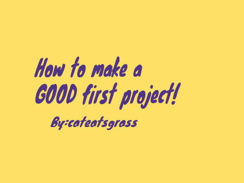 How to make a good first project!