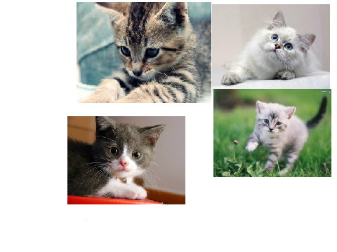 sign if u think  cats are cute!!!!! remix