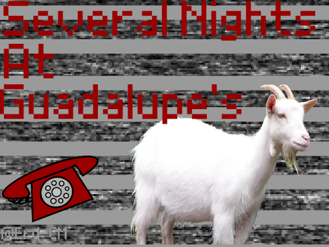 Several nights at guadalupe's