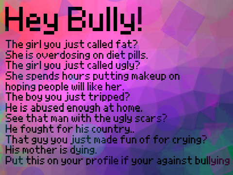 Hey Bully! remix