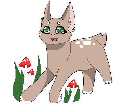 ❖ Fawn Reference :D ❖