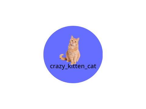 Logo for @crazy_kitten_cat