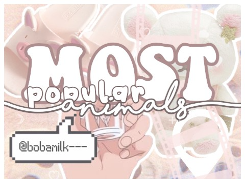 ₍^.ꞈ.^₎⟆ M0ST POPUL4R AN1MALZ