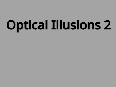 OPTICAL ILLUSIONS 2