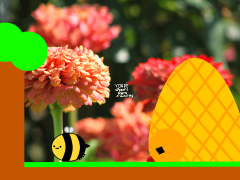 LHS School bee project