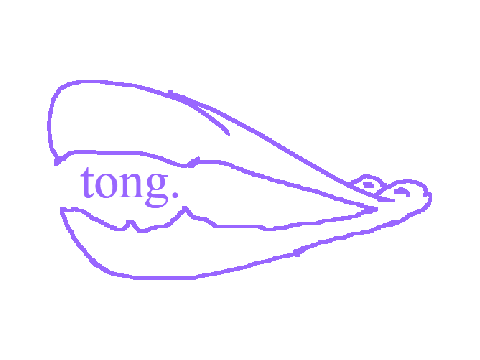 Project thumbnail
