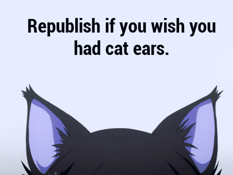 if you wish you had cat ears remix