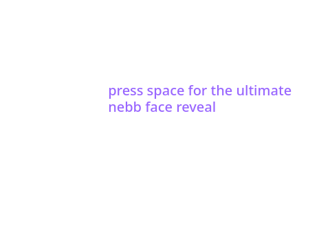 nebb face reveal (real)