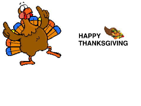 Turkey Life Cycle 