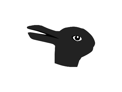 Duck-Rabbit optical illusion
