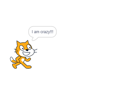 Cat is crazy!!!