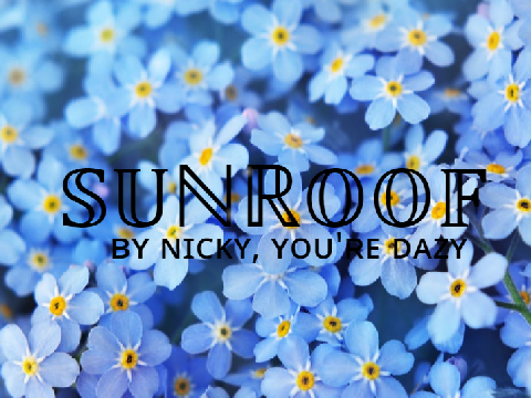 ˖✿˖Sunroof-Nicky, You're and Dazy✿