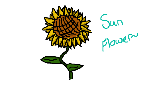Sunflower~